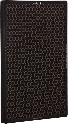 Activated carbon against odors and VOCs