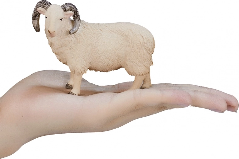 Compact size for small hands