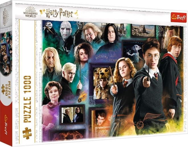 Collage détaillée des personnages de HARRY POTTER