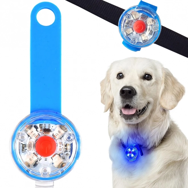 LED Light for Pet Collar