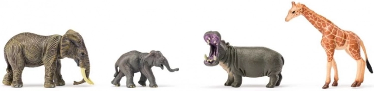 Expandable safari with small and large species