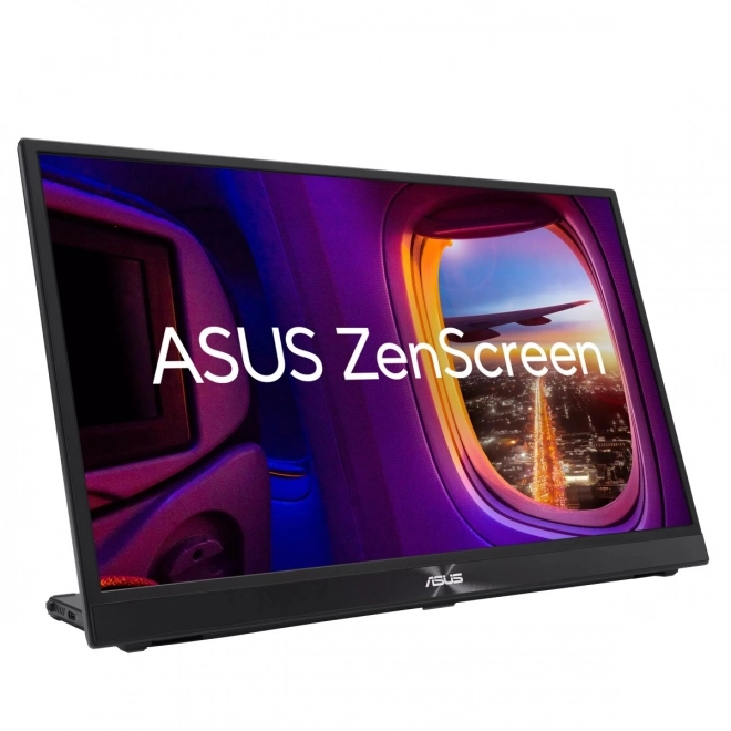 17-inch IPS Monitor