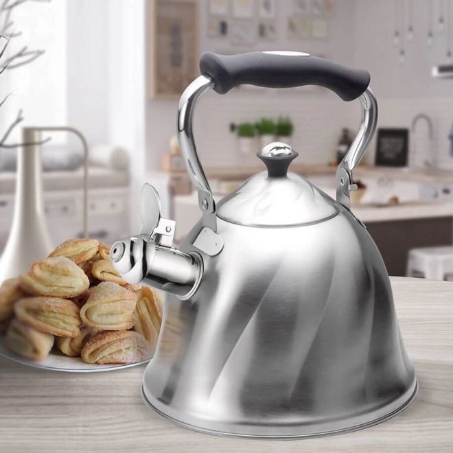 Stainless Steel Whistling Kettle 3L Retro Design