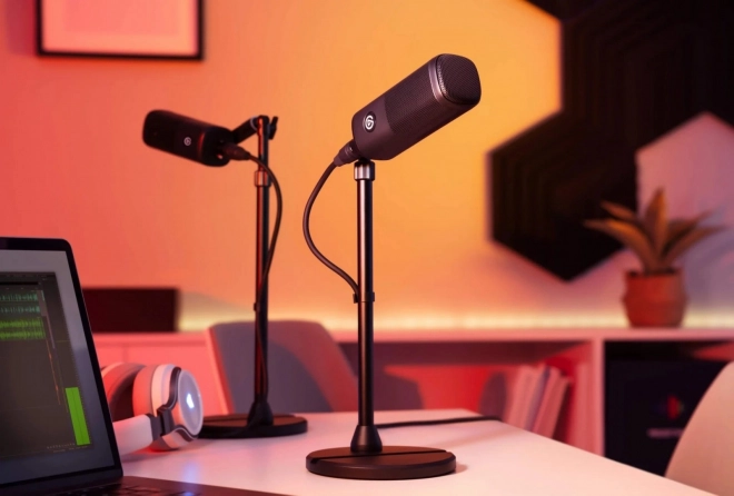 Dynamic Microphone Wave DX