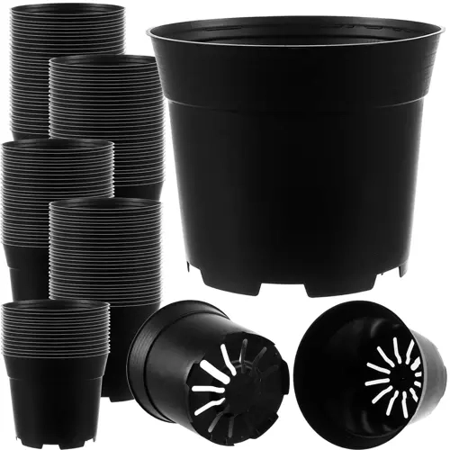 Ideal for seedlings