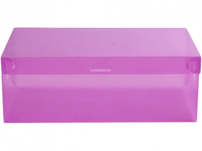 Multicolor Transparent Shoe Boxes 10pcs