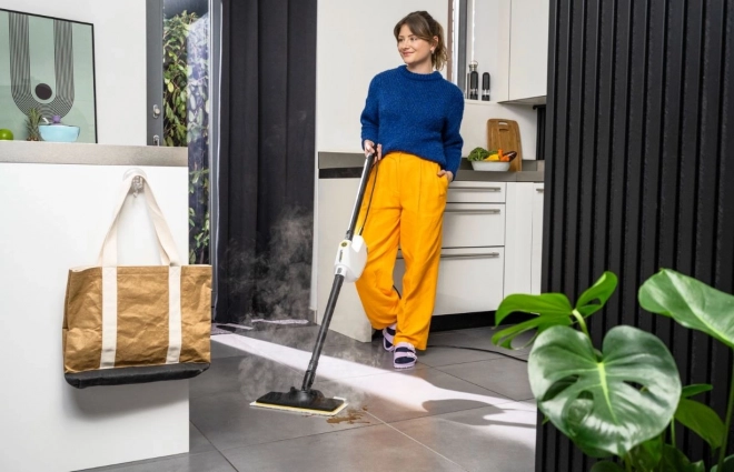 Kärcher Multi-Function Steam Cleaner