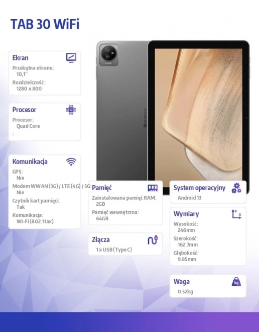Tablet Tab 30 WiFi 10.1 inch Gray