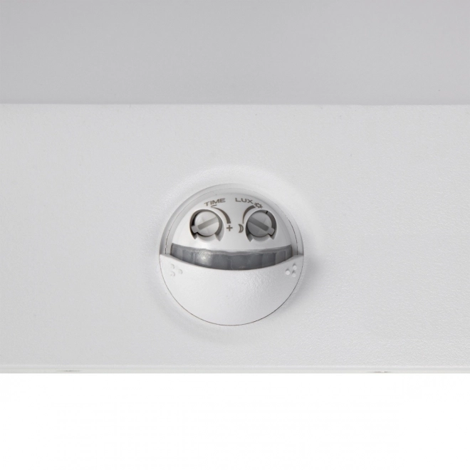 Outdoor LED Lamp with Motion and Dusk Sensor