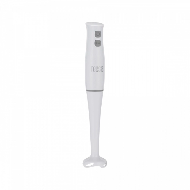 Frullatore ad immersione Teesa 400W