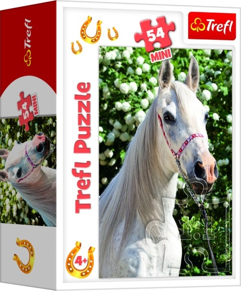 Ideaal voor kinderen vanaf 4 jaar