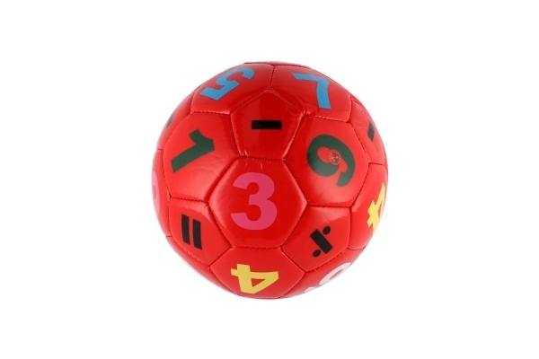 Ballon de football petit junior gonflé cousu 15cm cuir avec filet