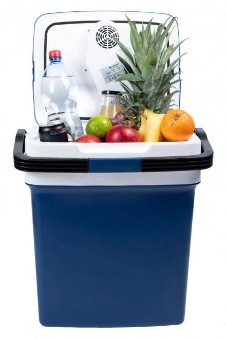 Portable Car Cooler Box with Heating Function, 29L