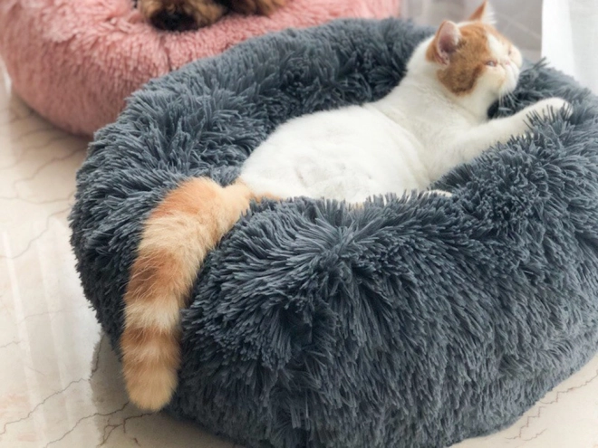 Pluchen kattenmand met zacht kussen voor op de bank 80 cm