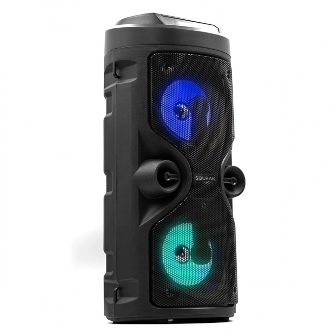 Bluetooth Speaker Harmony with Karaoke Function
