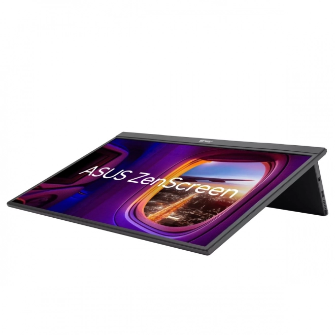 17-inch IPS Monitor
