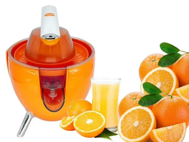 Electric Citrus Juicer for Lemons and Oranges