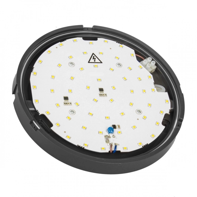 LED Wall and Ceiling Light