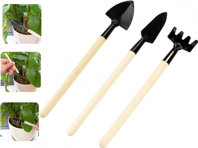 Set di mini attrezzi da giardinaggio 3 in 1 per vasi