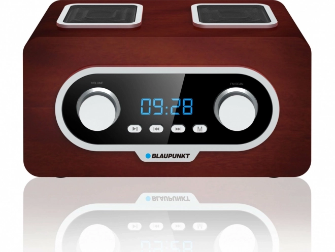 Radio portatile FM PLL con SD/USB/AUX, batteria e orologio