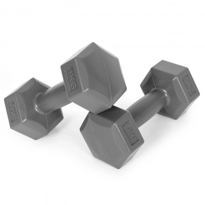 Dumbbells Hex ModernHome 2x1 kg