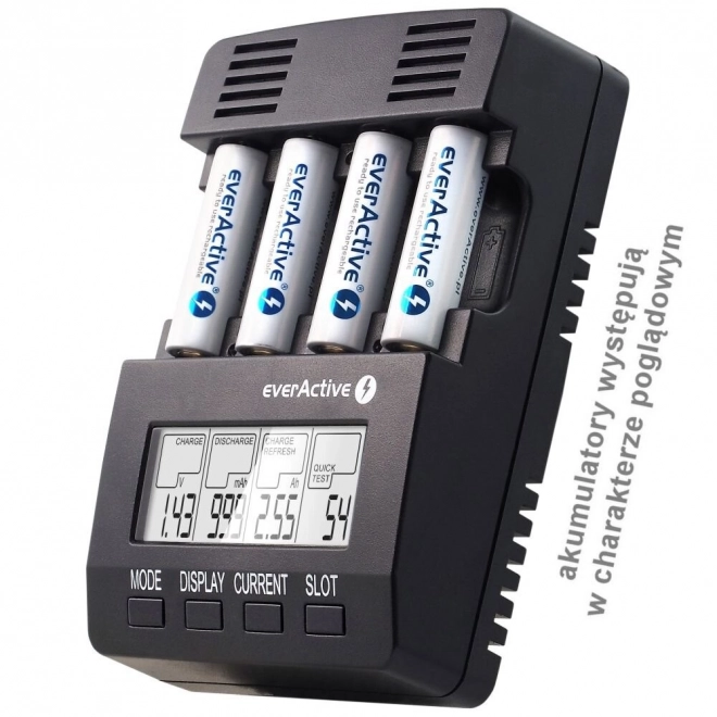 Professional Battery Charger for AA/AAA/C/D