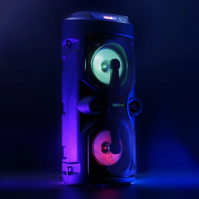 Bluetooth Speaker Harmony with Karaoke Function