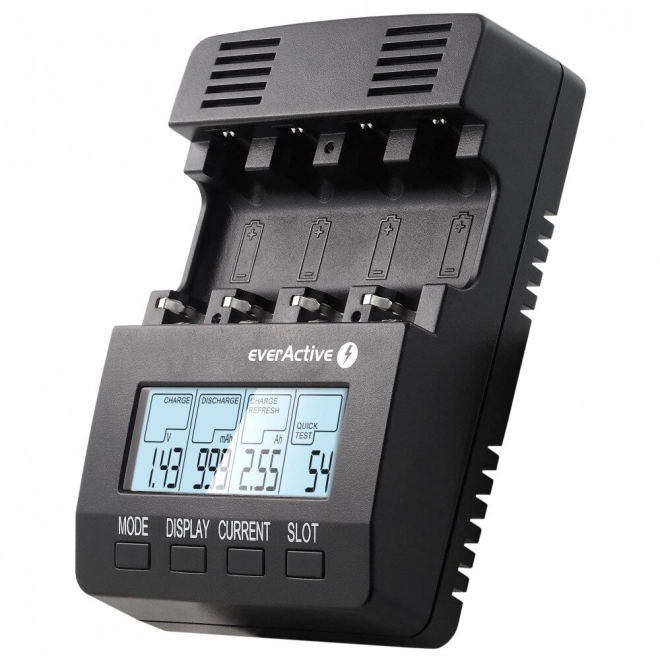 Professional Battery Charger for AA/AAA/C/D