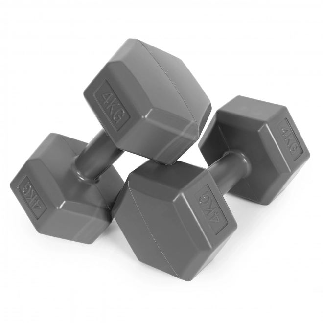 Hexagonal Dumbbells 2x4 kg Grey ModernHome