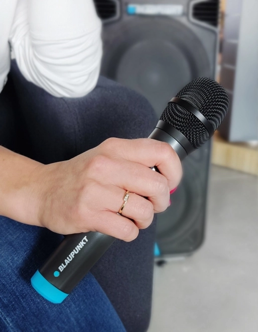Wireless UHF Microphone