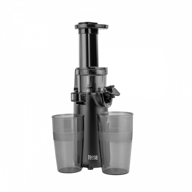 Slow Juicer Teesa