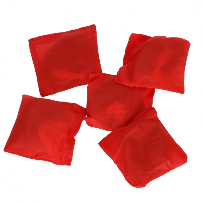 Throwing Game with Velcro Balls and Bags Set