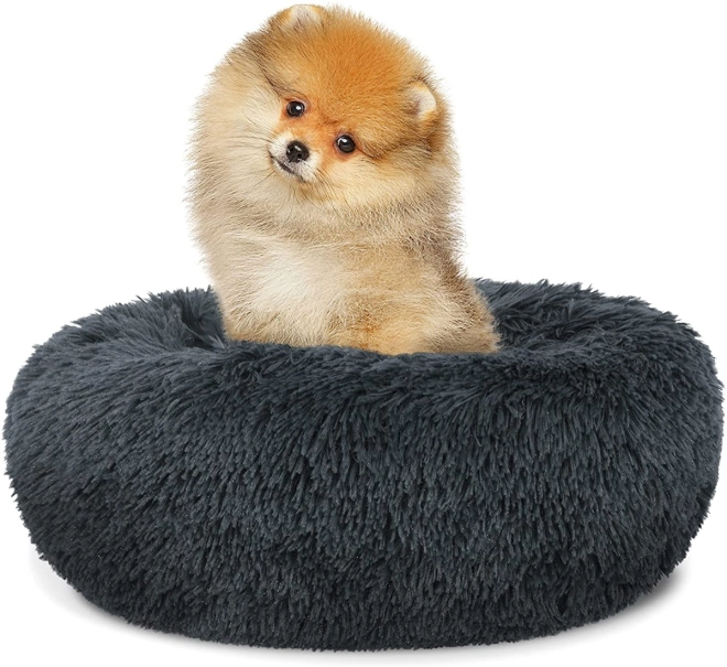 Comfortable and Safe Design