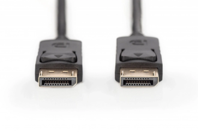 DisplayPort Connection Cable with Latches