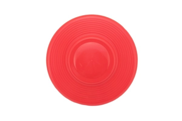 Frisbee colorato in plastica
