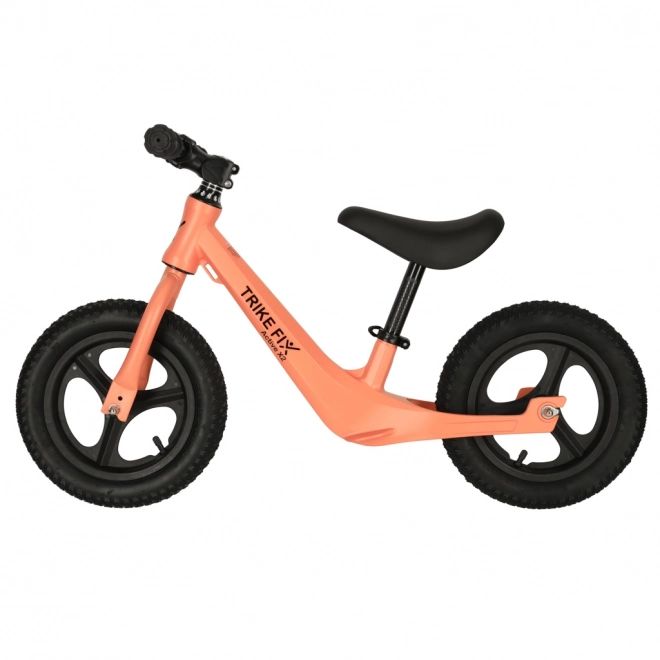 Balance Bike Trike Fix Active X2