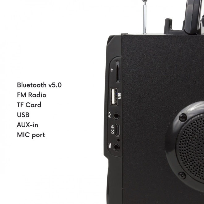 Bluetooth Speaker with Radio and USB Audiocore