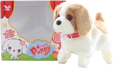 Walking brown and white puppy with somersaults