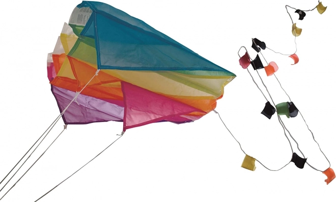 Colorful Flying Kite Nylon 60x45 cm