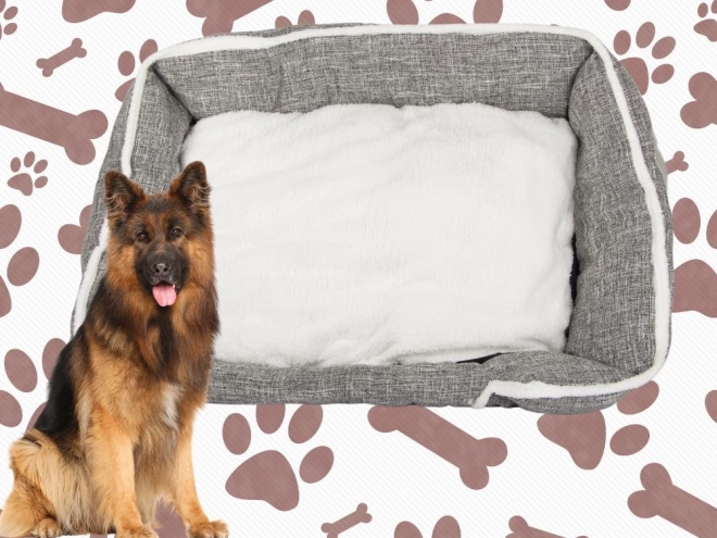 Letto morbido e confortevole per cani con cuscino XL