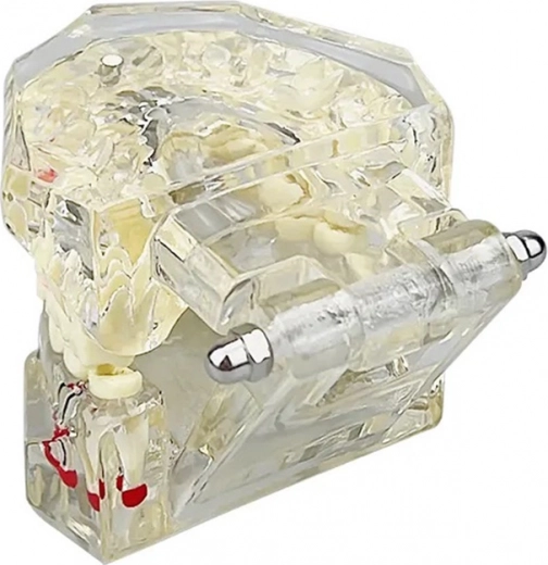 Toepassing in het onderwijs