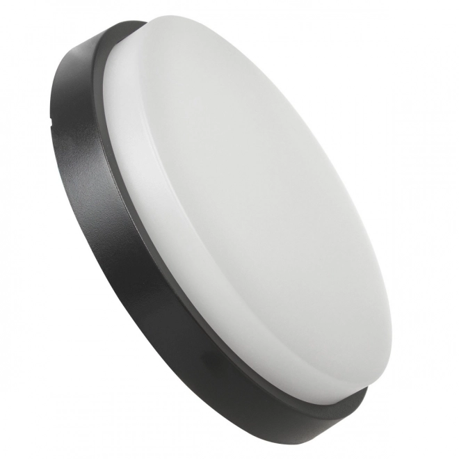LED Wall and Ceiling Light