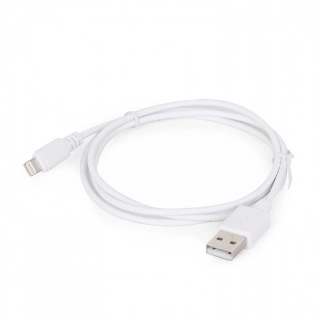 White 8-Pin USB Cable 1m