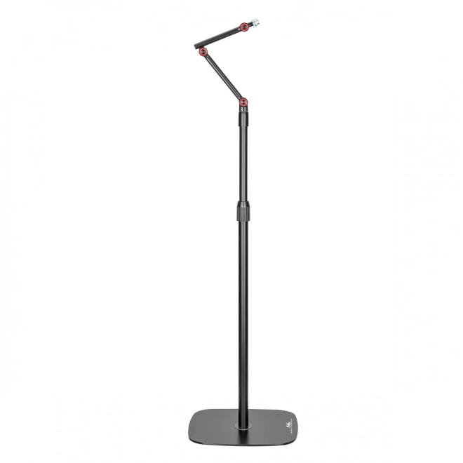 Adjustable Metal Microphone Stand