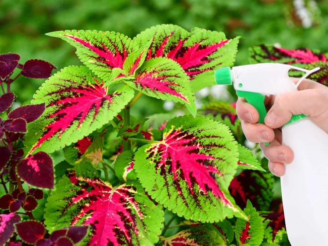 Applicazione uniforme dei fertilizzanti