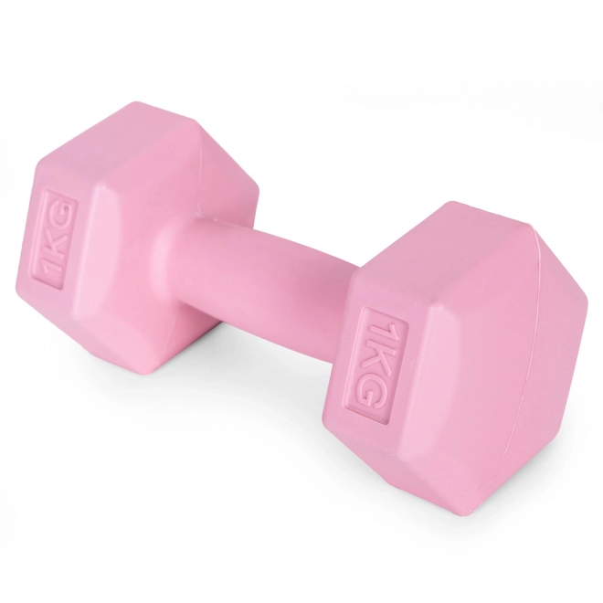 Pink Dumbbells 2x1 kg ModernHome
