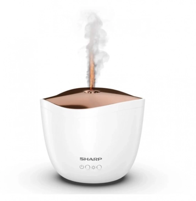 Ultrasonic Aroma Diffuser with Rose Gold Metallic Cover