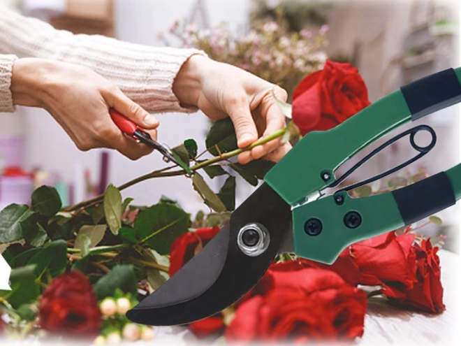 Hand-Gartenschere für Äste und Sträucher