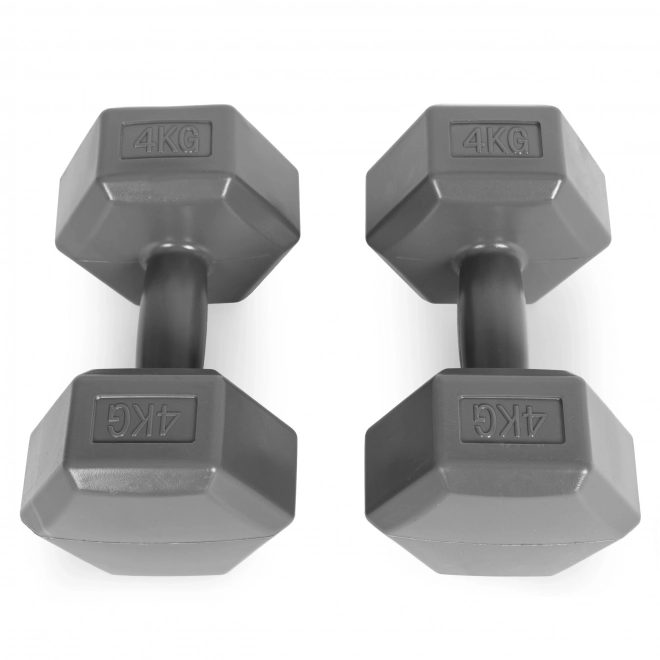 Hexagonal Dumbbells 2x4 kg Grey ModernHome