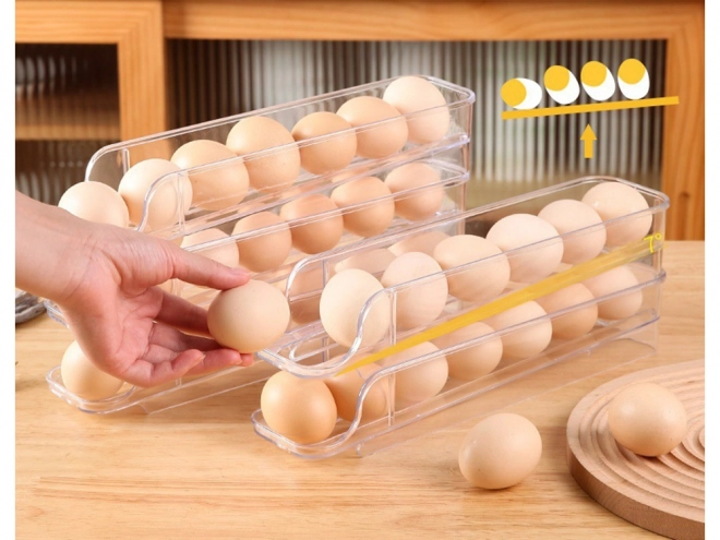 Egg Storage Box for Refrigerator